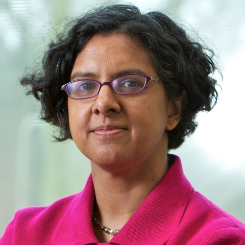 Anita Ramasastry - Henry M. Jackson Prof. of Law and Director, Sustainable Intl Development Grad Program at University of Washington